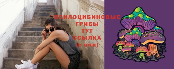дмт Елизово