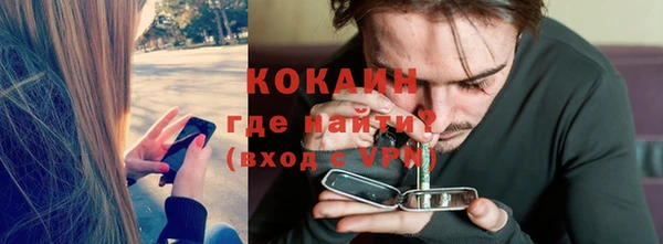 дмт Елизово
