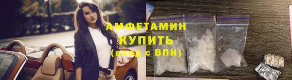 spice Ельня