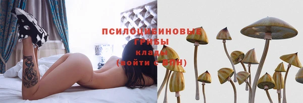 марки lsd Елабуга
