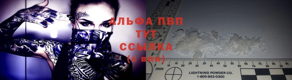 дмт Елизово