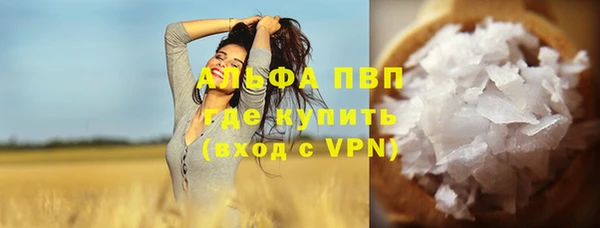 spice Ельня
