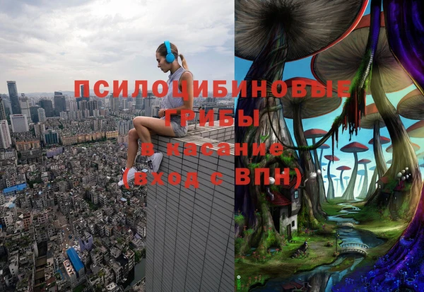 spice Ельня