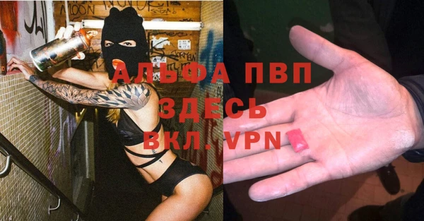 дмт Елизово