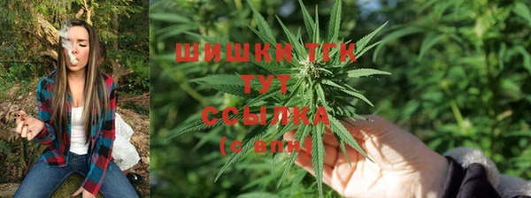 spice Ельня
