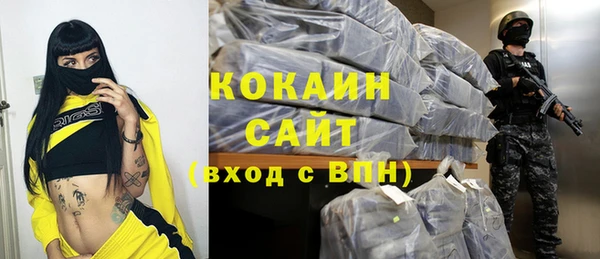 дмт Елизово